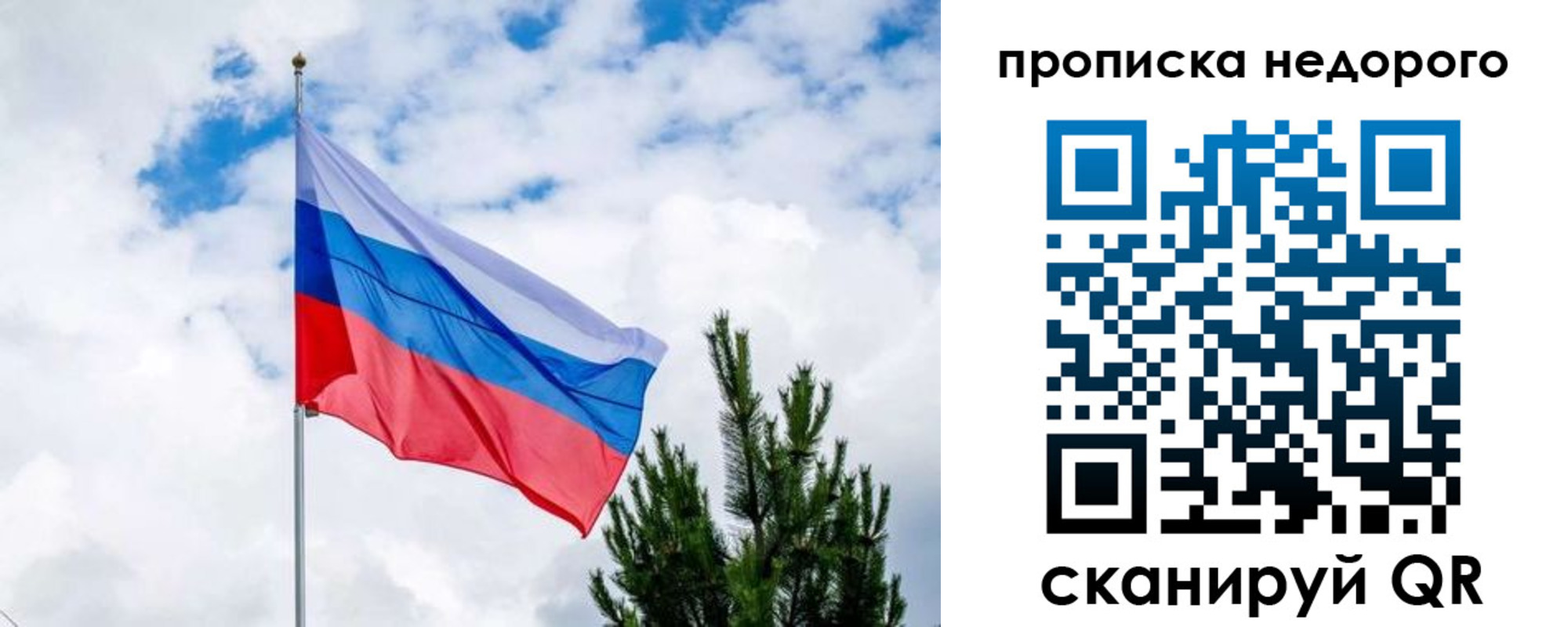 прописка ребенка в Всеволожске